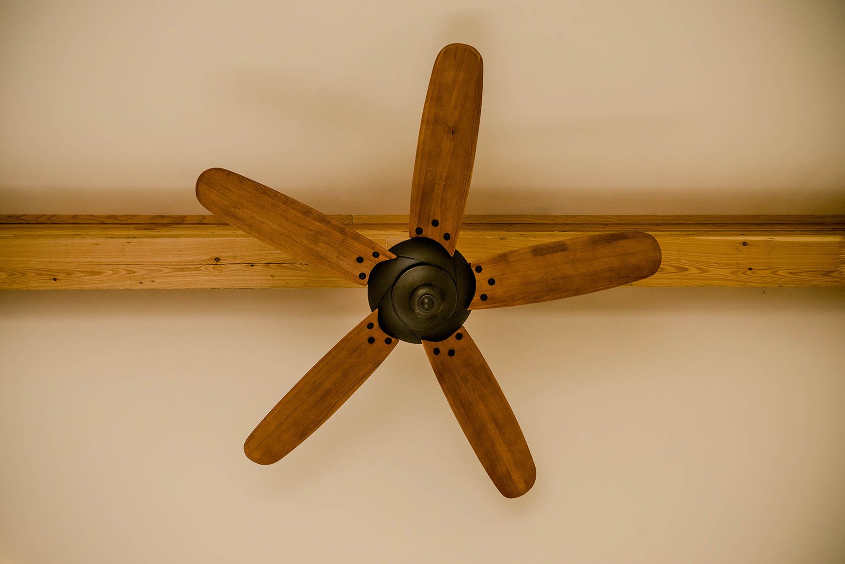 Ceiling Fan